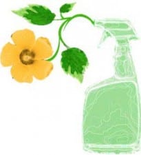 green-cleaning-products